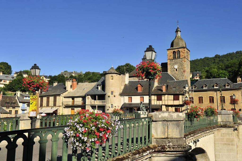 Apartamento Maison mitoyenne piscines chauffées et tourisme vert Saint-Geniez-dʼOlt Exterior foto