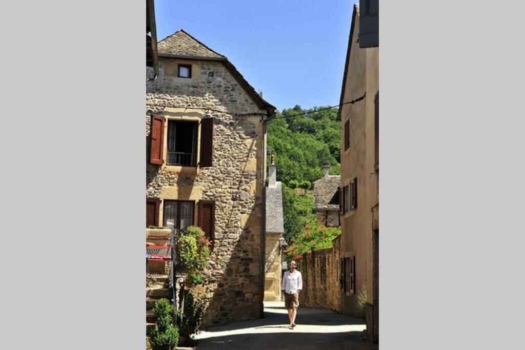 Apartamento Maison mitoyenne piscines chauffées et tourisme vert Saint-Geniez-dʼOlt Exterior foto