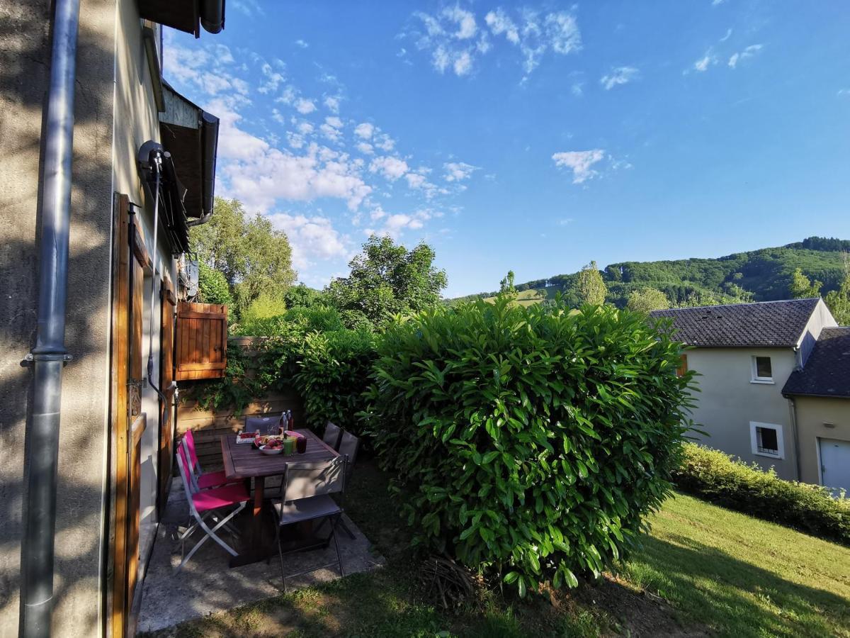 Apartamento Maison mitoyenne piscines chauffées et tourisme vert Saint-Geniez-dʼOlt Exterior foto